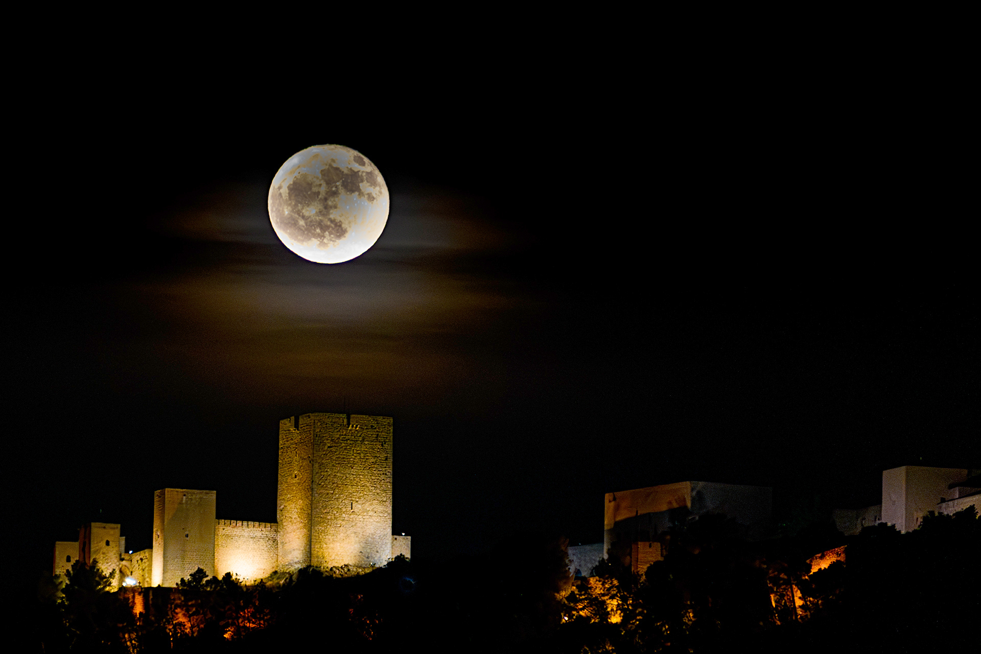 2025. NOVIEMBRE. TEMA: 